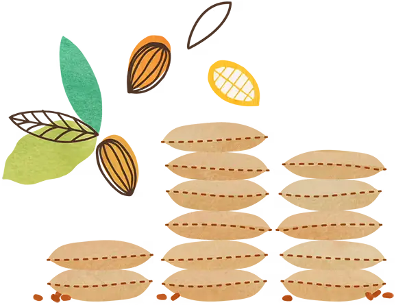 Illustration of cocoa bean bags on a white background