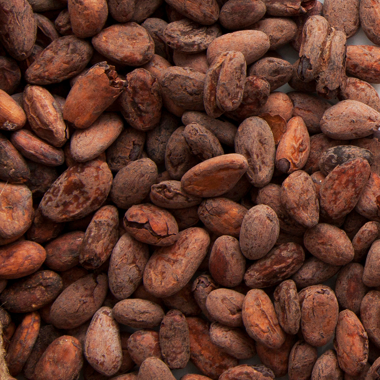 Default Ingredients Image