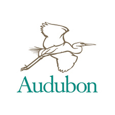 Audubon