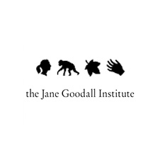 The Jane Goodall Institute